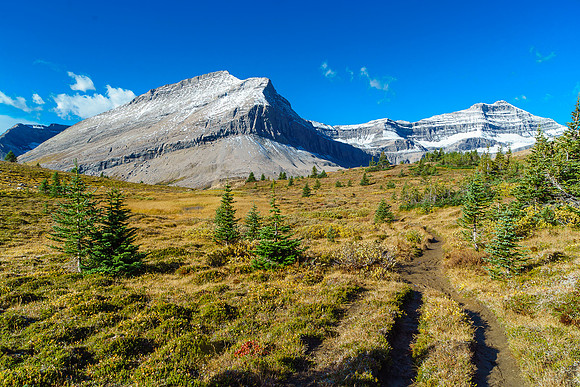 "CB11" at foreground with Nigel Peak at distant right from Nigel Pass.