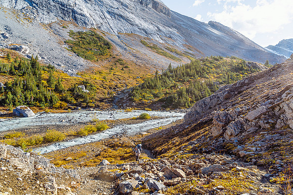 Hiking up to Nigel Pass from the Brazeau River.