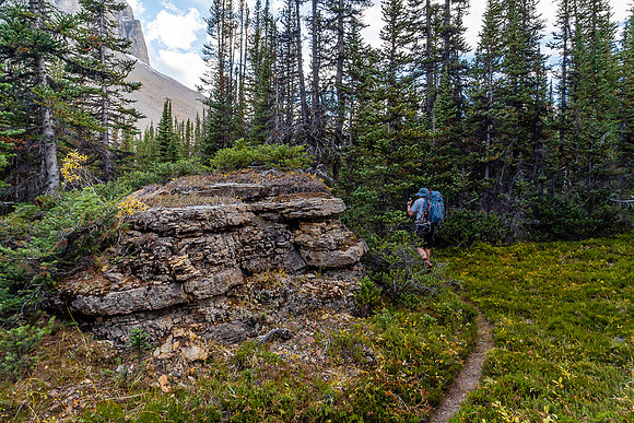 The trail is quite nice - provided you don't completely lose it in the swampy areas. Which easily happens.
