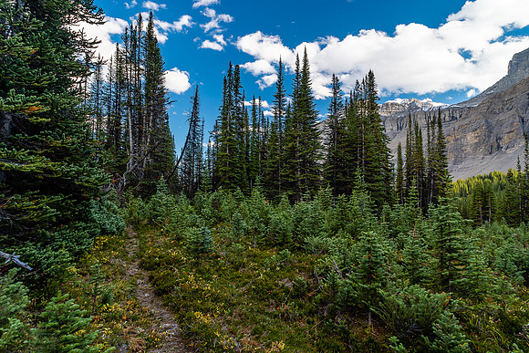 Hiking up the Cataract Creek trail.