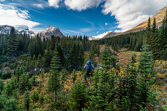 Hiking up the Cataract Creek trail.