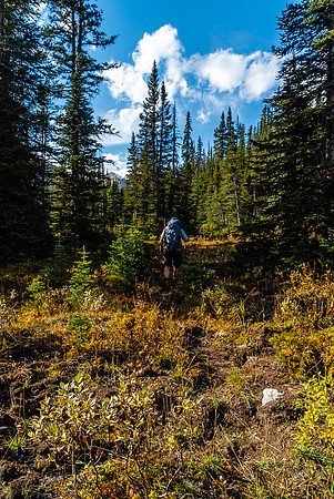 Returning to camp up the Cataract Creek trail.