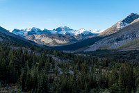 Views back down Nigel Creek valley towards Parker Ridge and Mt. Saskatchewan.