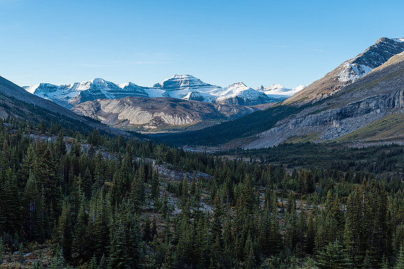 Views back down Nigel Creek valley towards Parker Ridge and Mt. Saskatchewan.