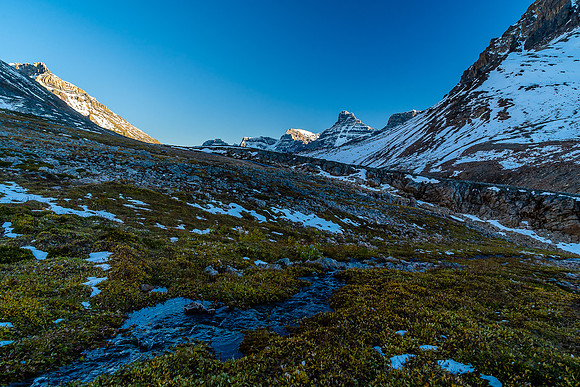 Ascending back up to Cline Pass.