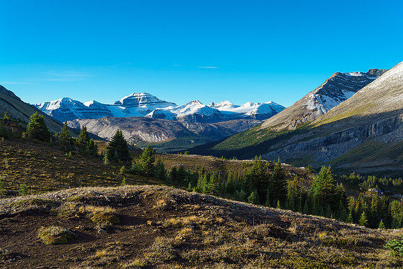 Views back down Nigel Creek valley towards Parker Ridge and Mt. Saskatchewan.
