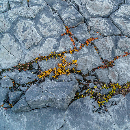 Rock Art.