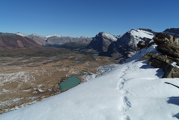 Still following the cougar or bear tracks on the upper ridge. This animal had agility and a penchant for nice views, whatever it was.