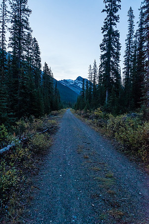 The road is a bit of a trudge, but a nice enough one