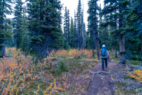 Crossing to the regular Nigel Pass trail.