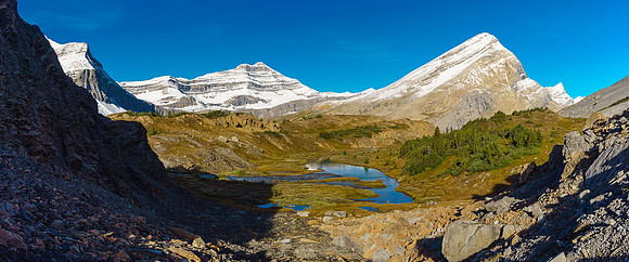 Views back down the trail.