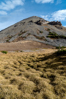 Lower slopes on Nomad, the bear is just out of sight to the left.