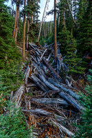 Looking up a side stream along the road, glad we don't have to go there... ;)