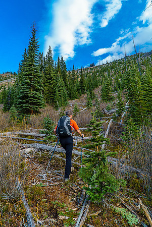 Off the obvious trail, but the ridge top is easily accessed from here anyway.