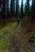 On the old logging road, just across Invincible Creek.