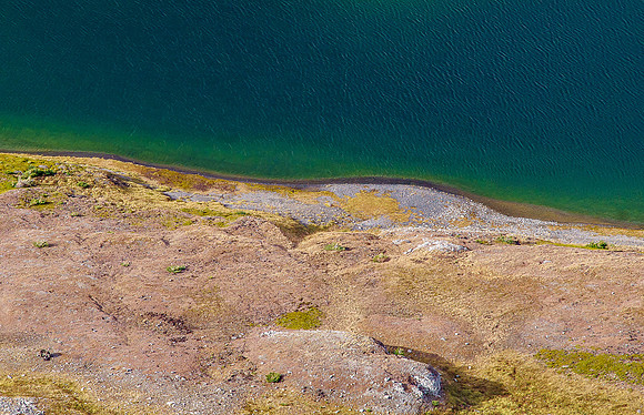 The bear at lower left.