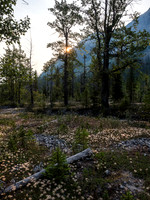 Heading up the drainage and off trail as the sun rises in the east.