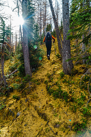 Hiking back over the exit ridge on a golden carpet.