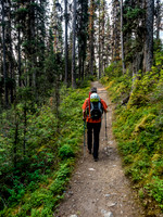 The forest is nice and green and the trail towards The Forks Campground is fast.