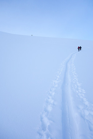 Skinning the Wapta Headwall above the Bow Hut.