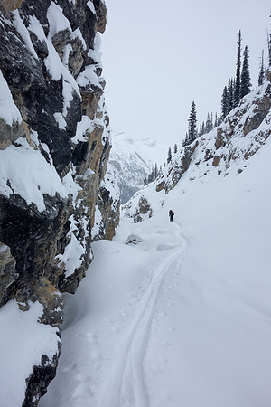 Kelly skis out of the canyon on the descent.