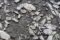 Fossils everywhere.