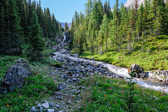 Hiking up the stream coming from Marlborough Pond.