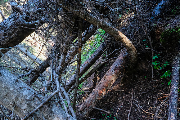 The "shortcut" trail into Hidden Lake is a bit manky in spots.