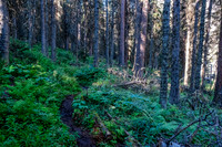 The trail around Hidden Lake is in good shape.