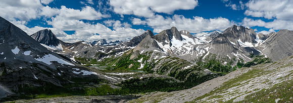 The Foch Creek / Aster Lake meadows with Warrior, King George, Northover, Lyautey.