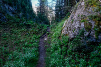 Following the Aster Lake approach trail.