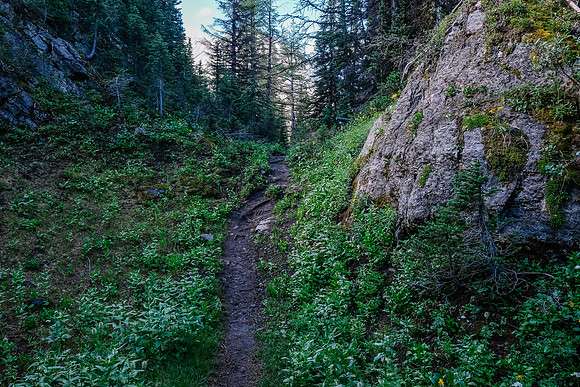 Following the Aster Lake approach trail.