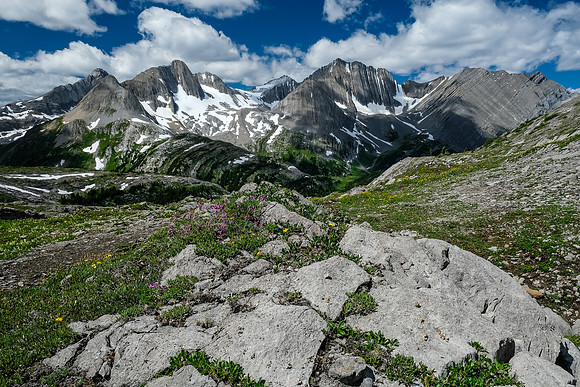 Hiking down to Foch Creek.