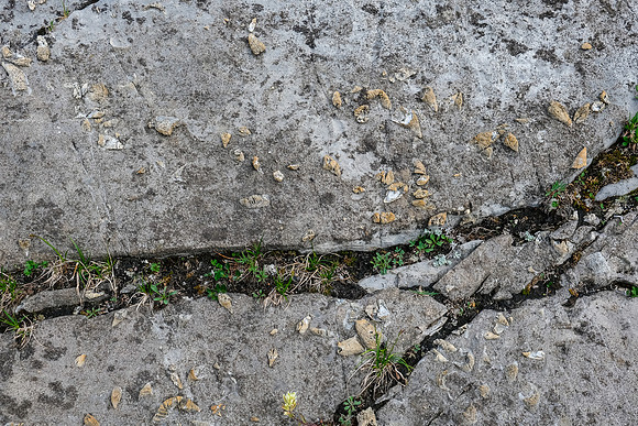 Fossils everywhere.