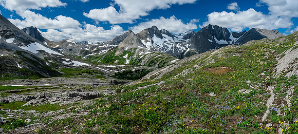 The Foch Creek / Aster Lake meadows with Warrior, King George, Northover, Lyautey.