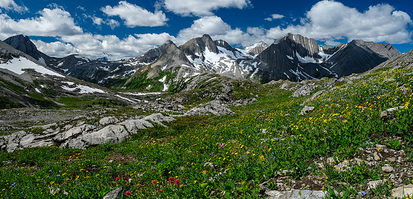 The Foch Creek / Aster Lake meadows with Warrior, King George, Northover, Lyautey.