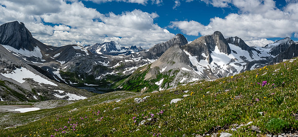 The Foch Creek / Aster Lake meadows with Warrior, King George and Northover.