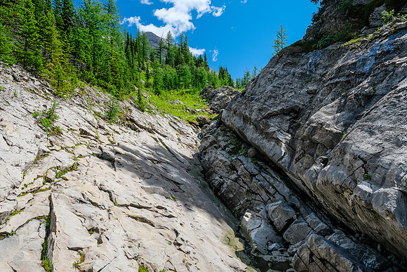 Foch Creek.