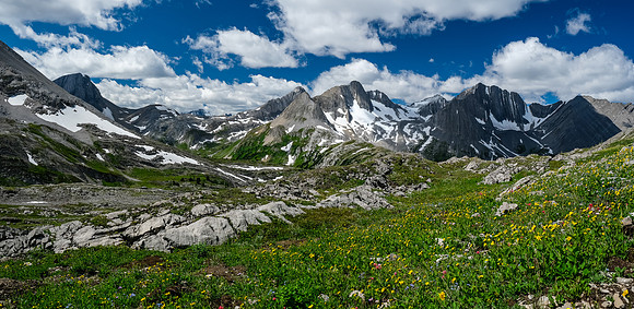 The Foch Creek / Aster Lake meadows with Warrior, King George, Northover, Lyautey.