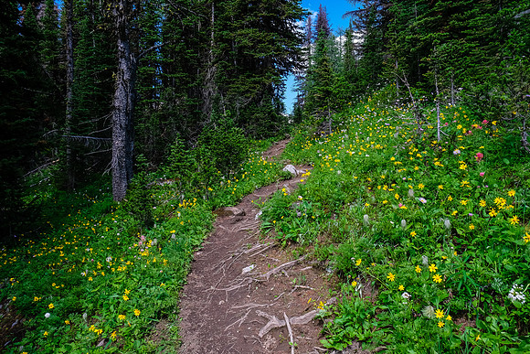 Hiking back to the top of the headwall.
