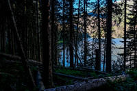 Hidden Lake is filled to the brim - hence taking the trail around it in forest.
