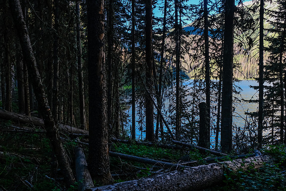 Hidden Lake is filled to the brim - hence taking the trail around it in forest.