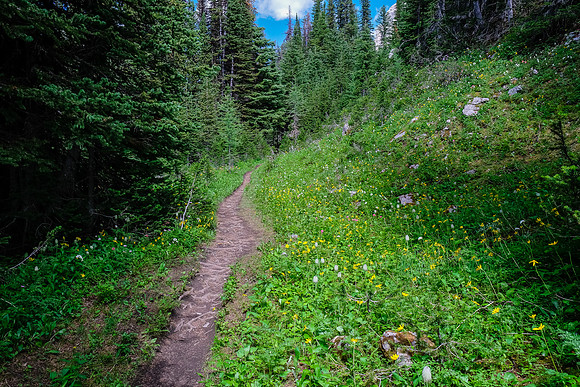 Hiking back to the top of the headwall.
