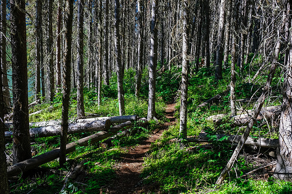 Hiking along Hidden Lake.
