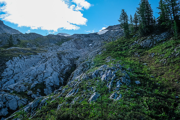 Following the Aster Lake approach trail.