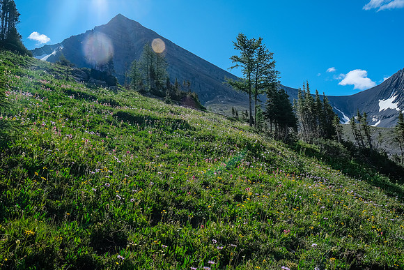 The false summit of Foch.