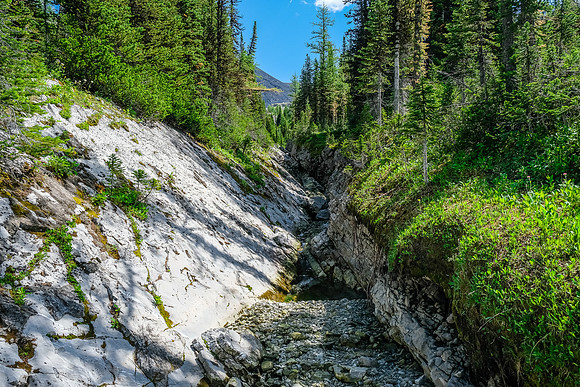 Foch Creek.