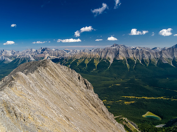 Looking back along the summit ridge.