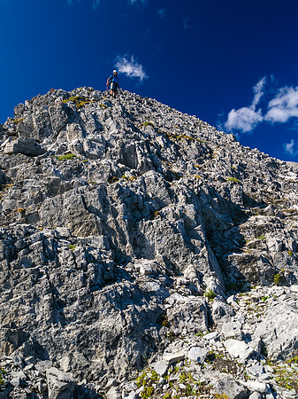 The lower NE ridge of Mount Fox.