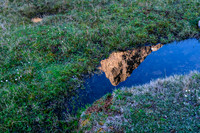 Morning reflections.